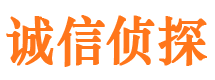 汶上诚信私家侦探公司